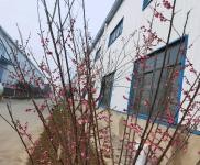 (出租) 荊門東寶大型鋼構(gòu)廠房出租2500平米，長崗一路。 ?