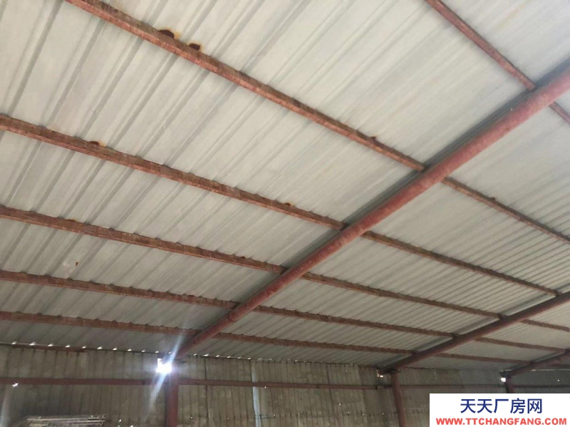 (出租) 出租義白路車管所北50米場地