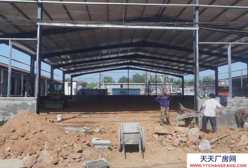 濟(jì)寧泗水位置 全新廠房 出租