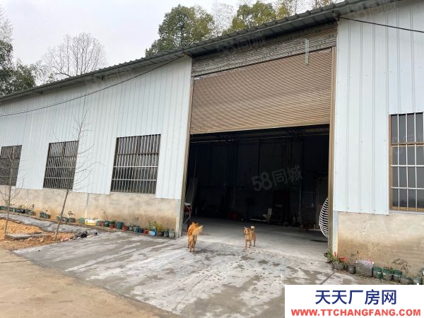 湘潭市雨湖區 錳礦方向，響水鄉全新獨立廠房出租