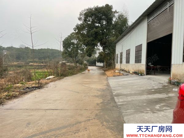 湘潭市雨湖區 錳礦方向，響水鄉全新獨立廠房出租