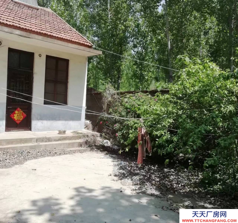 濟(jì)寧泗水原縣食品站大院出售，面積約1600平米，水電網(wǎng)設(shè)施齊全