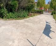 (出租) 荊門沙洋倉庫出租，交通方便，另外有住房