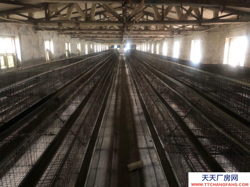 (出租) 出租廠房 房租相當便宜可做養殖物流驛站餐飲