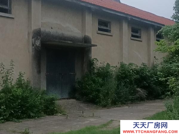 (出租) 荊門鐘祥共有八幢，每幢五百平方，獨門進出