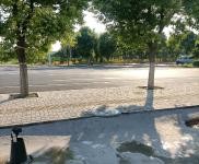 (出租)荊門鐘祥 交通方便，地理位置優(yōu)越適合各行各業(yè)