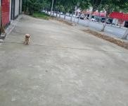 (出租) 荊門鐘祥交通便利水電齊全心動行動