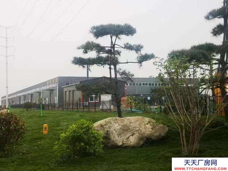 (出租) 咸陽興平咸興大道6000平層高8米廠房,水電蒸汽齊全!