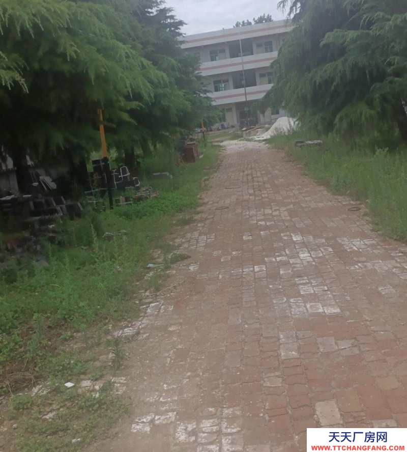 (出租) 咸陽旬邑可供中小企業做廠房用地，加工