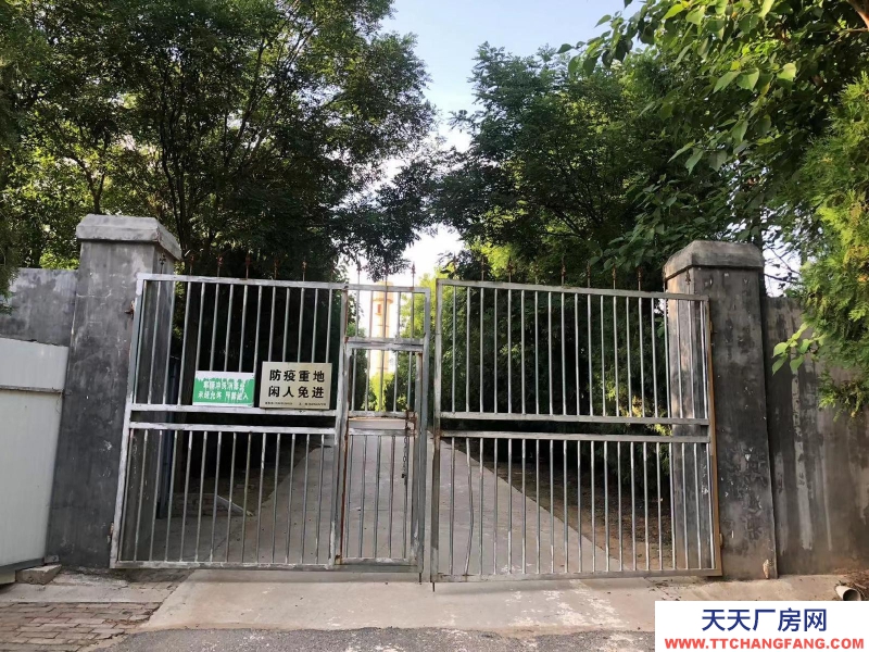 (出租) 咸陽淳化大型現(xiàn)代化豬舍出租。