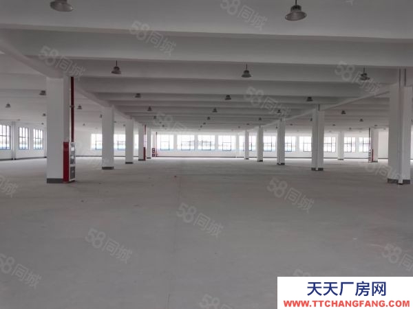 常州金壇丙二類平庫(kù)15000平米出租