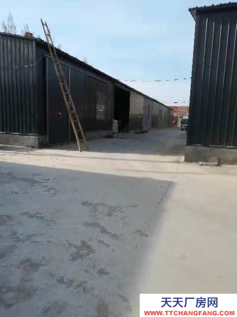 濟寧曲阜倉庫廠房出租，位置優越，交通便利