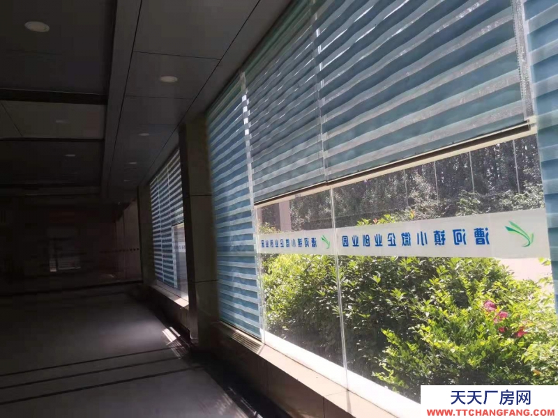 濟寧出租兗州創(chuàng)業(yè)園區(qū)漕河標準廠房4500平