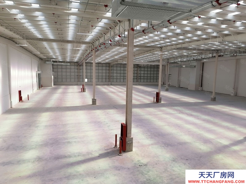 寧波奉化(出租) 甲方直租奉化方橋高標倉，丙二類消防，9米高。