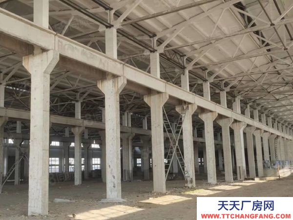 常州溧陽純單層！帶行車！天然氣！蒸汽！可做熔鋁，壓鑄，噴涂等行業(yè)