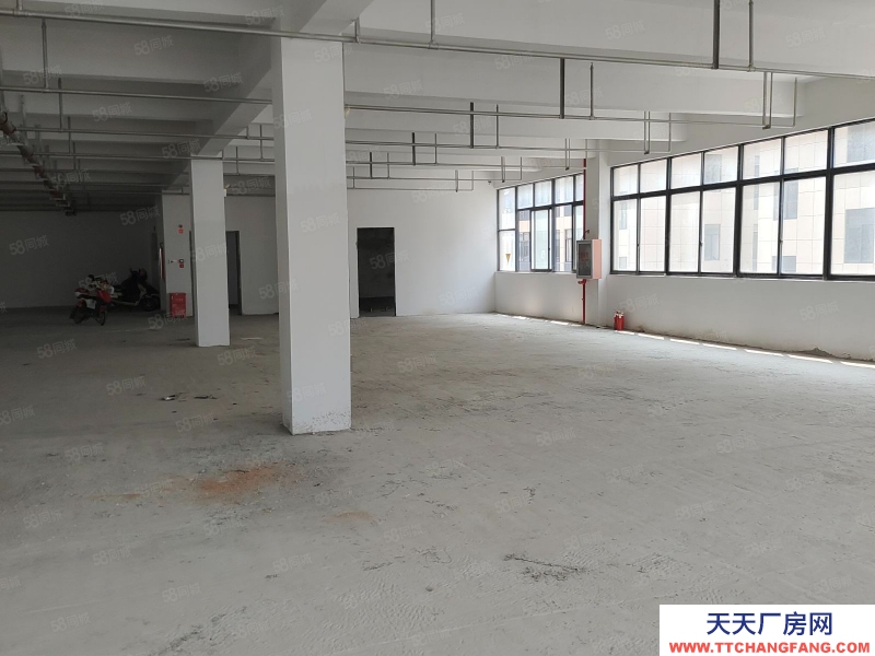 溫州鹿城(出租) 仰義廠房1樓1200平1600平，壓鑄五金機械都無限制