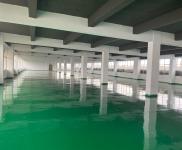 (出租)鄂州鄂城 框架結構廠房2580平方米己裝修