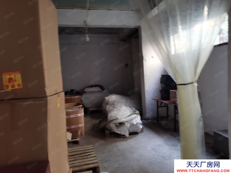 溫州鹿城(出租) 鹿城 吳橋路附近 一樓573平倉庫 獨院 可分割 大車好進