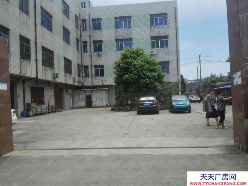 溫州鹿城(出租) D9 138 0668 2368牛山北路倉庫招租,設施齊全