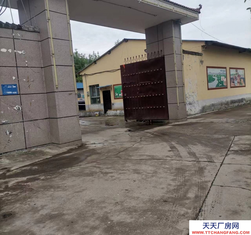 (出租) 寶雞金臺交通方便70平方到800平方都有，可分租可整租