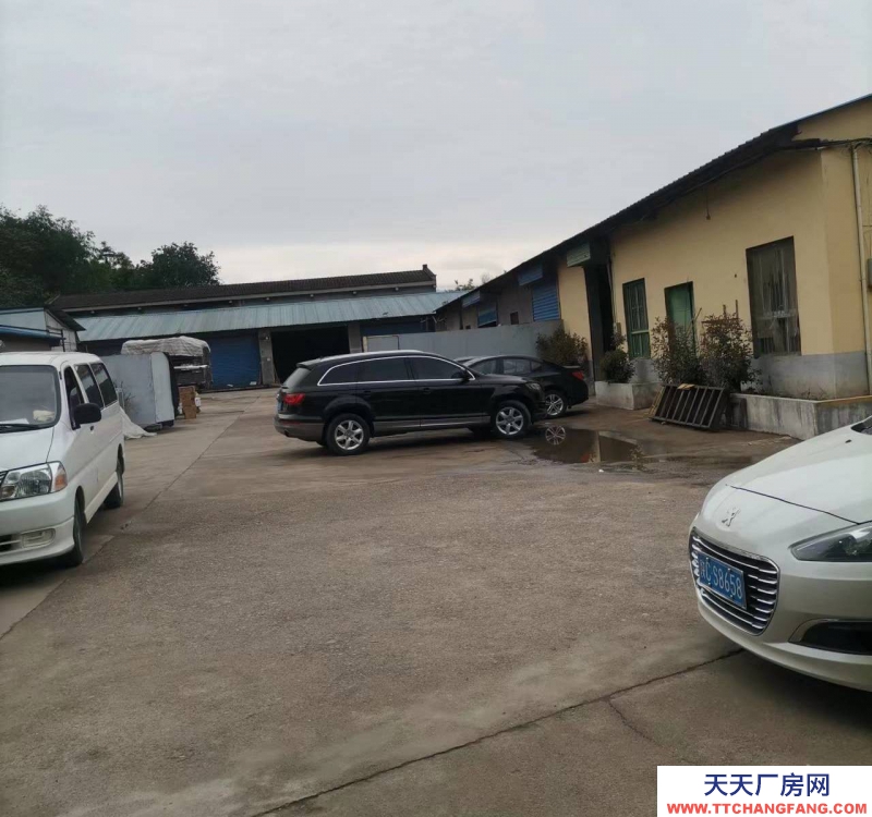 (出租) 寶雞金臺交通方便70平方到800平方都有，可分租可整租