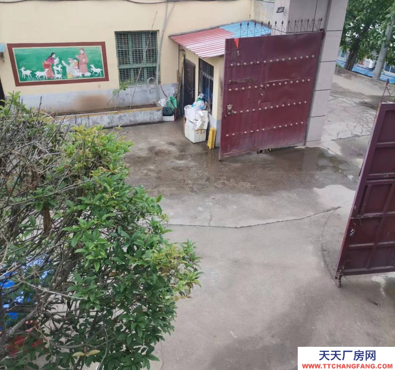 (出租) 寶雞金臺交通方便70平方到800平方都有，可分租可整租