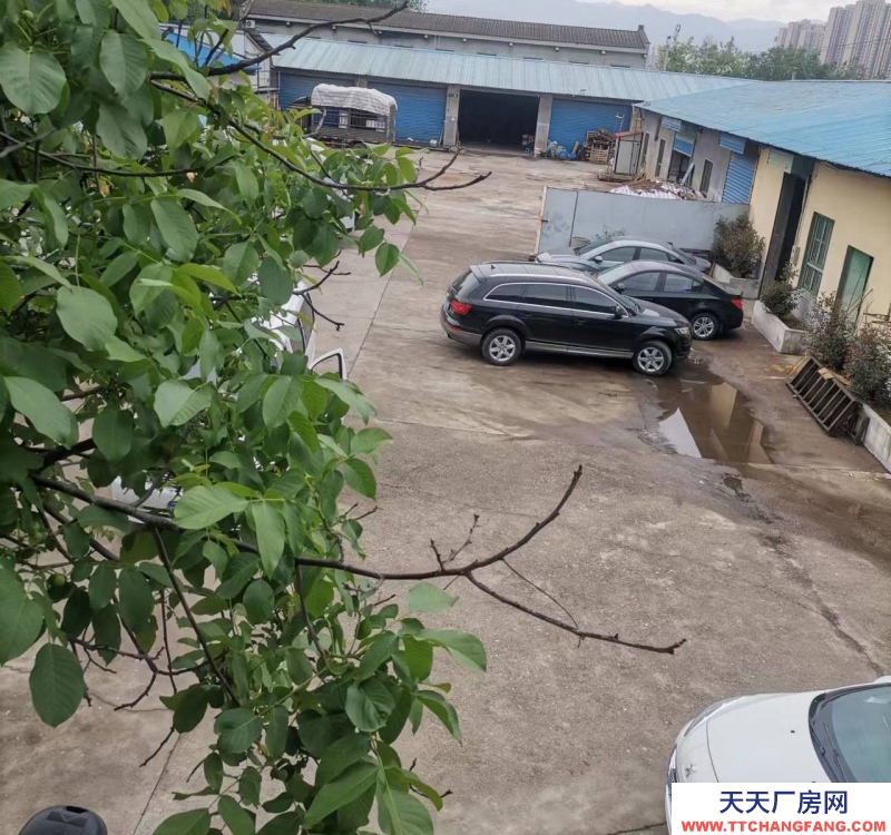 (出租) 寶雞金臺交通方便70平方到800平方都有，可分租可整租