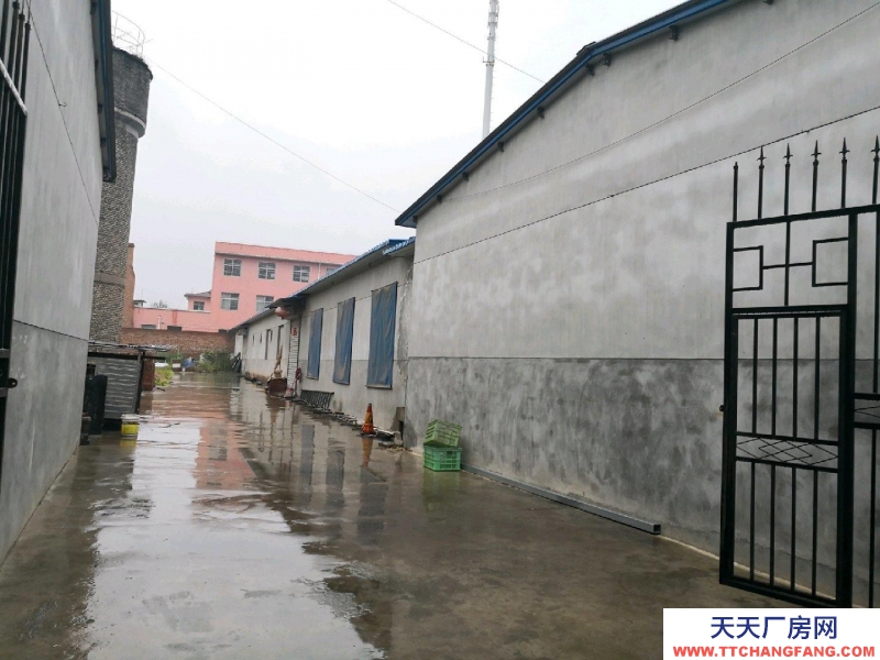 (出租)寶雞陳倉 倉儲、庫房、獨院出租