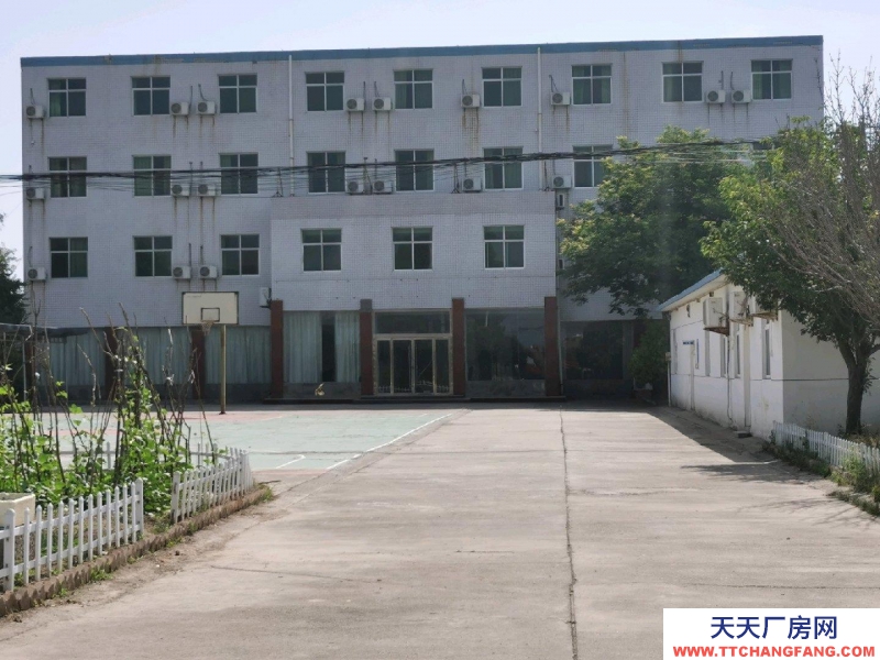 (出租) 渭南蒲城企業(yè)用地，自建辦公大樓，16米寬36米長高4層