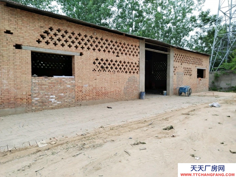 (出租) 渭南大荔附近全是冬棗樹，可做代辦，電商的發貨地，房租面議，短租，長租