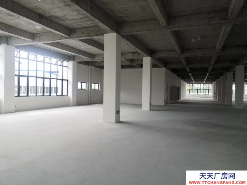 全新框架結構，獨棟新廠房，形象氣質佳，970-5000平，贈送20%面積