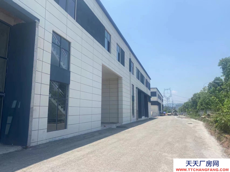 蔡家現(xiàn)房標準廠房/輕軌近公交旁物流園旁/所見即所得