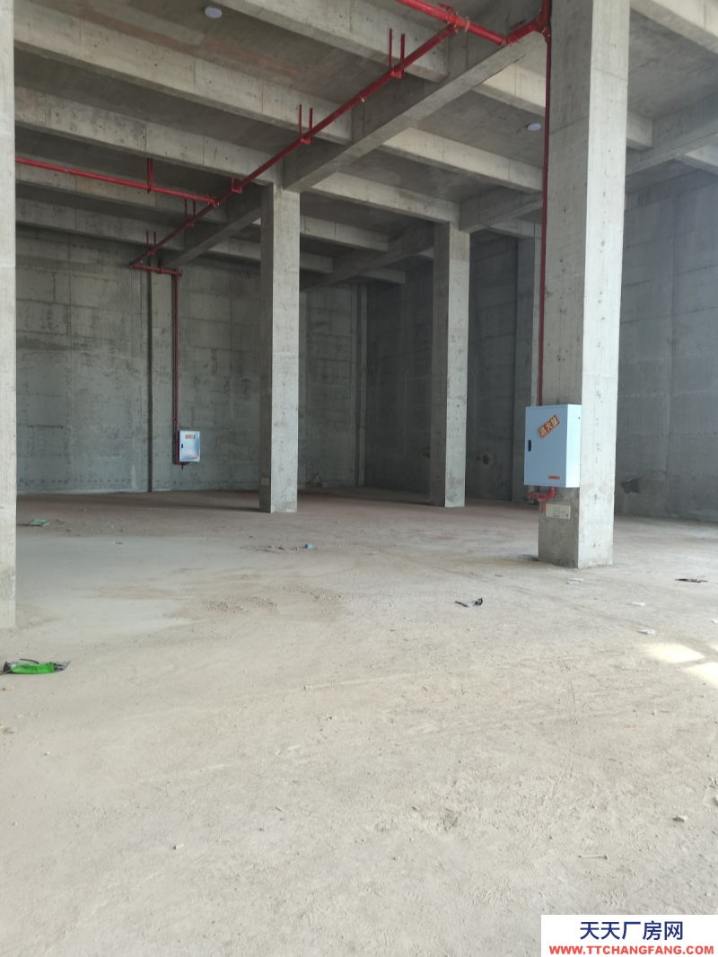 蔡家現(xiàn)房標準廠房/輕軌近公交旁物流園旁/所見即所得