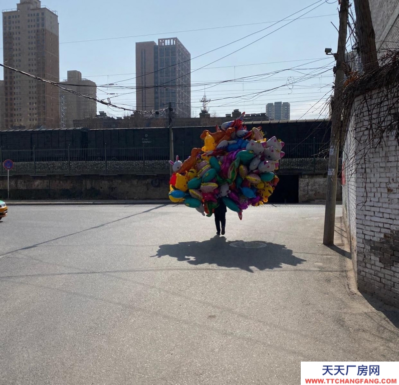 (出租) 寶雞金臺十里鋪鐵路北廠房、出租 廠房 1000平米