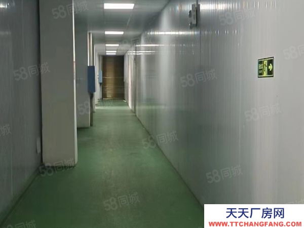 湘潭市湘鄉區振湘路正志大廈旁房東自建標準廠房倉庫優價出租