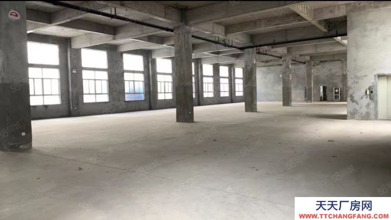 臨沂蘭山蘭華集團(tuán)標(biāo)準(zhǔn)化工業(yè)園1800平米廠房出售