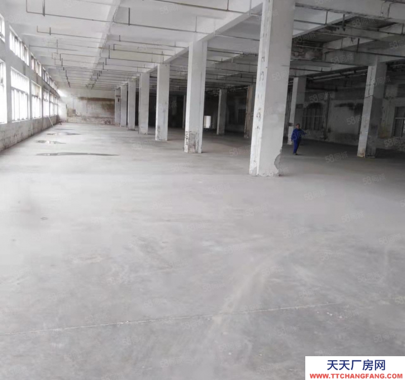 溫州龍灣(出租) 出租海工大道一樓1500平方，樓上2300平方