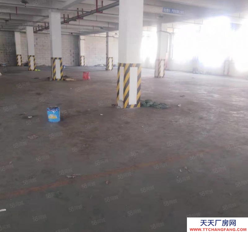 溫州龍灣(出租) 出租海工大道一樓1500平方,樓上2300平方