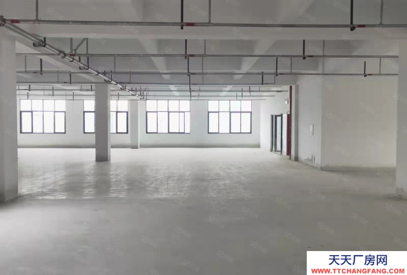 溫州龍灣(出租) 出租海工大道一樓1200平方，高8米，價36，獨門獨院，，，