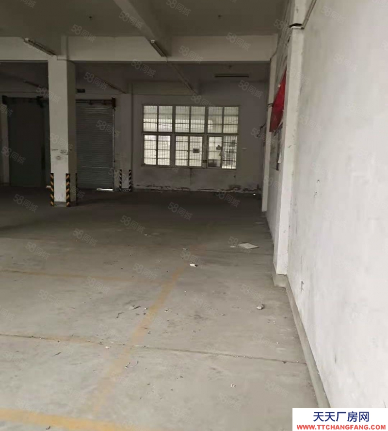 溫州龍灣(出租) 蒲州街道標準廠房出租，半掛大車好進，方正好用，面積可以分。