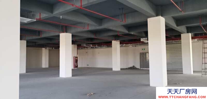 (出租) 寶雞扶風電子電器外貿產業園對外招租享免租政策。