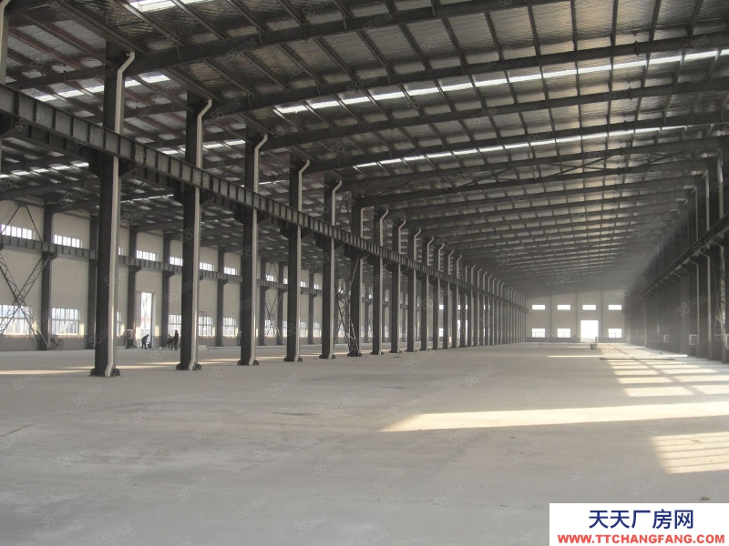 溫州龍灣(出租) 出租吾悅廣場(chǎng)對(duì)面1樓倉(cāng)庫(kù)1000平方米