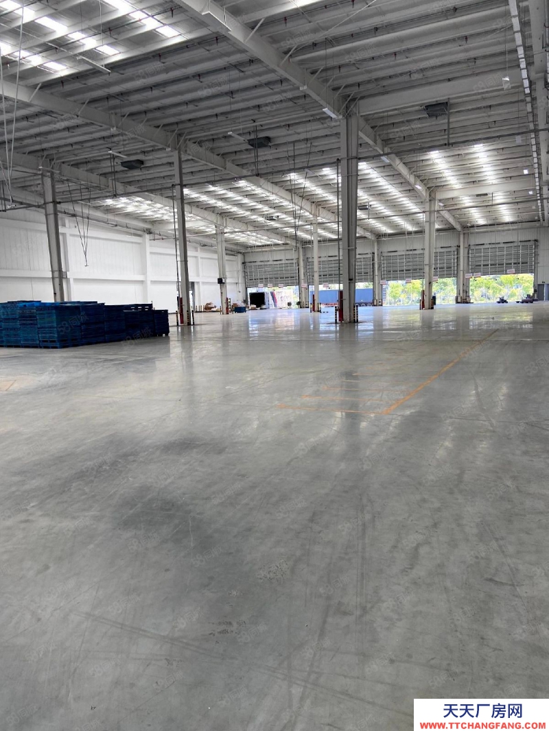 溫州龍灣(出租) 甌江口物流場地40000平出租，可做倉儲物流等