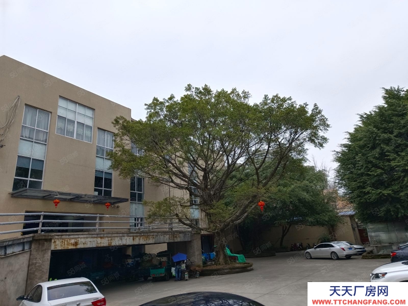 溫州龍灣(出租) 狀元廠房倉庫1180平方一個層面有貨梯框架結構