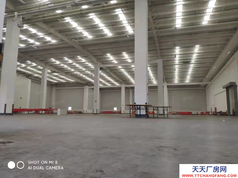 溫州龍灣(出租) 濱海 甌江口標準倉 樓面庫3000至10000租 帶月臺