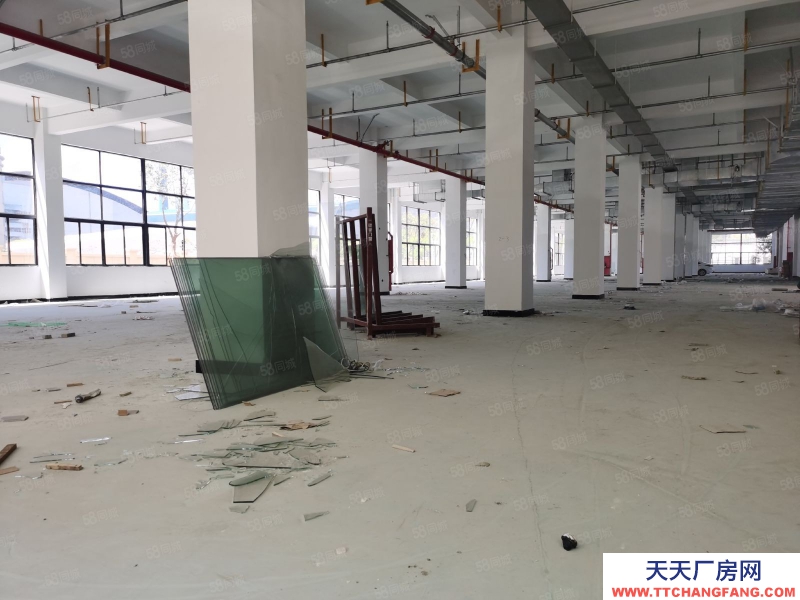 溫州龍灣(出售) 龍灣溫州大道8000平方，大路廣告位置好