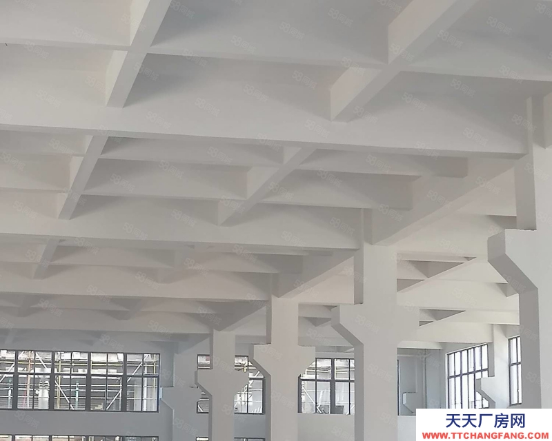 溫州龍灣(出售) 出售濱海標準廠房占地18畝,1至5層,建筑面積24000平