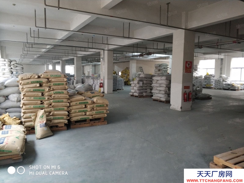 溫州龍灣(出售) 新蒲州獨門獨院小廠房2267平方院子大