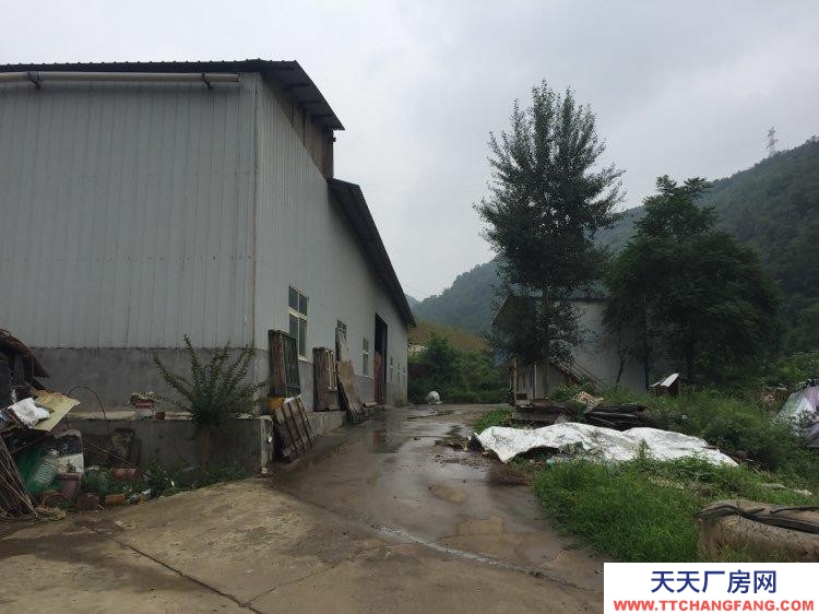 (出售)寶雞渭濱 峪泉村獨(dú)院廠房和地皮 轉(zhuǎn)讓