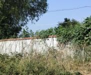 (出售) 仙桃誠心折價出售養殖場房， 省道直達 ！電力專線！